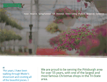 Tablet Screenshot of meders.com
